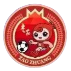 枣庄队